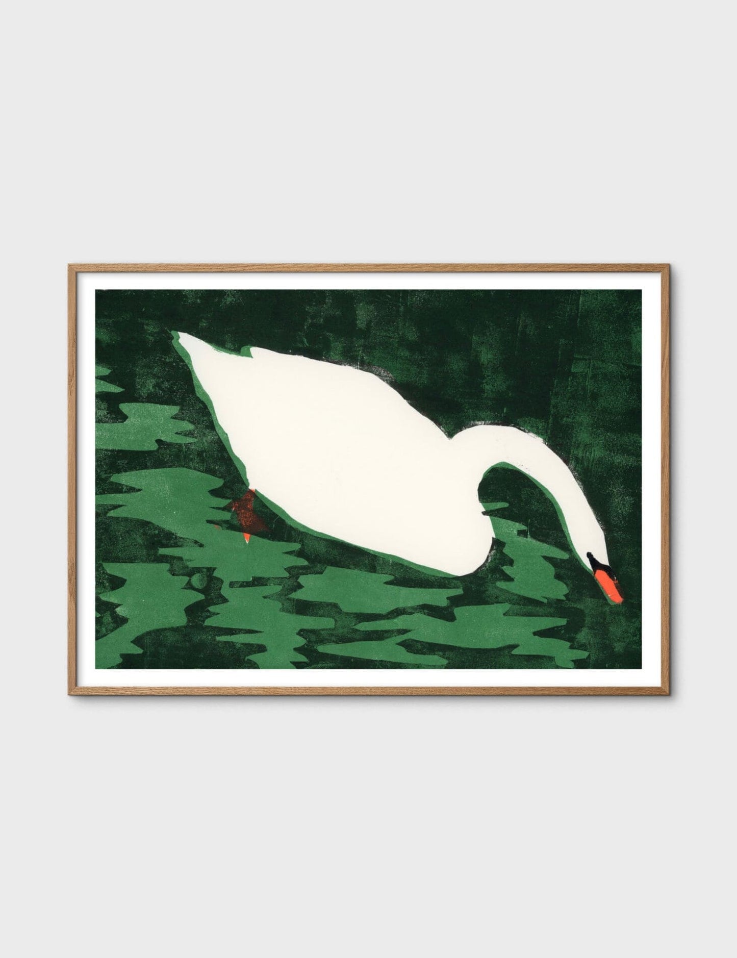 Cisne Blanco